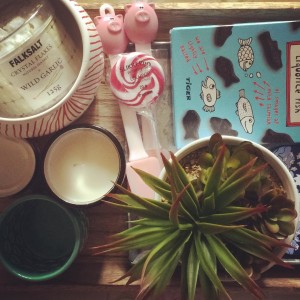 12724837_1542310302733802_1298561486_n(1)