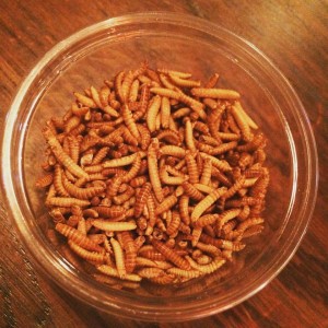 thai2