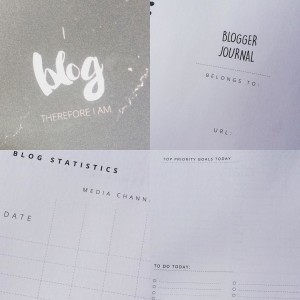 13737110_1640628639562284_1056927553_n1