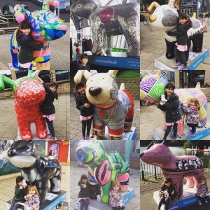 14359532_218904311859621_4452512700781559808_n1