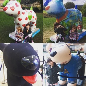 14515691_186159261792547_3342240058215235584_n