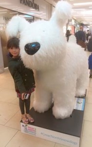 snowdogsmetro
