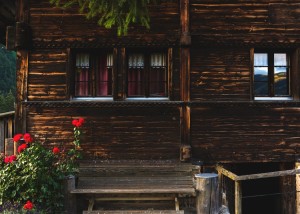 home7