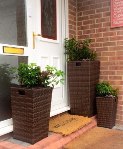 planter1