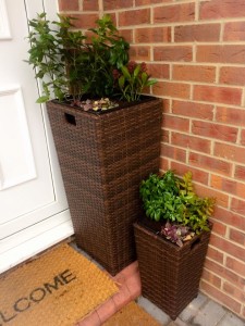 planter2